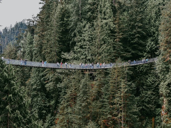 Capilano Suspension Bridge in North Vancouver surrounded by trees