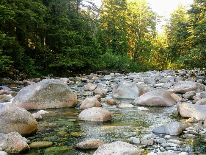 Rocks and river water in Lynn Canyon of North Vancouver