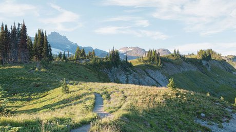 Mount Rainier National Park